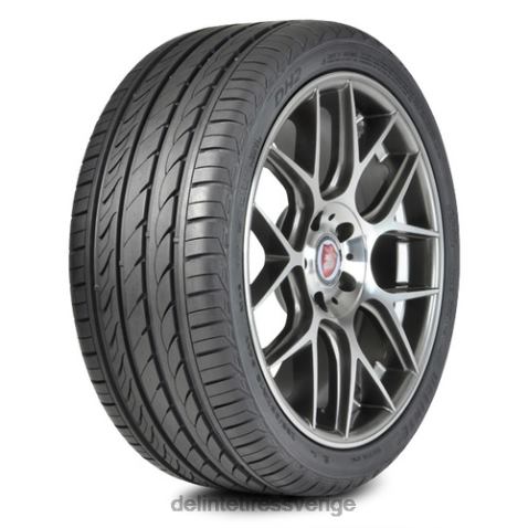 dh2 225/60r16 98h bsw Delinte däck 4R0L40